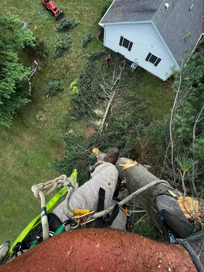Big Foot Tree Service - Ladoga, IN