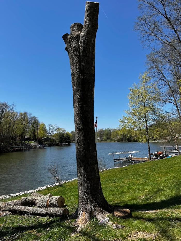 Big Foot Tree Service - Ladoga, IN