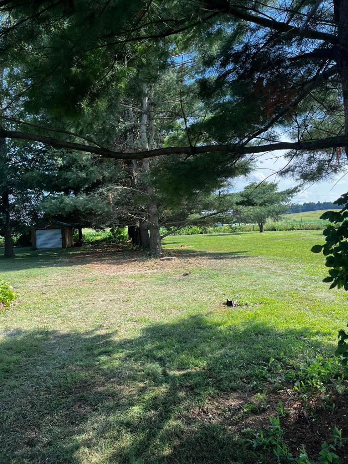 Big Foot Tree Service - Ladoga, IN