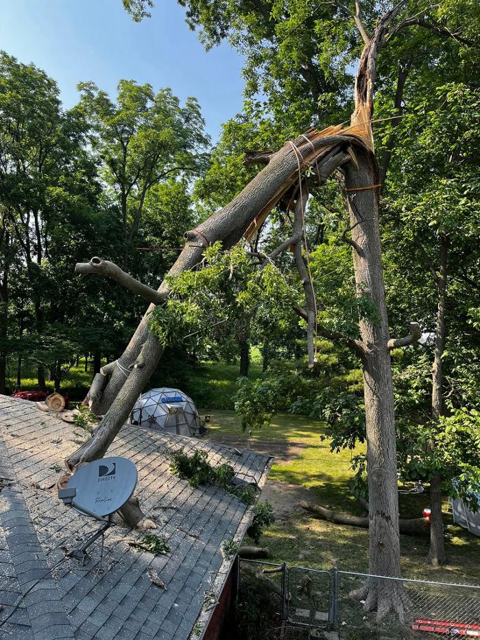 Big Foot Tree Service - Ladoga, IN
