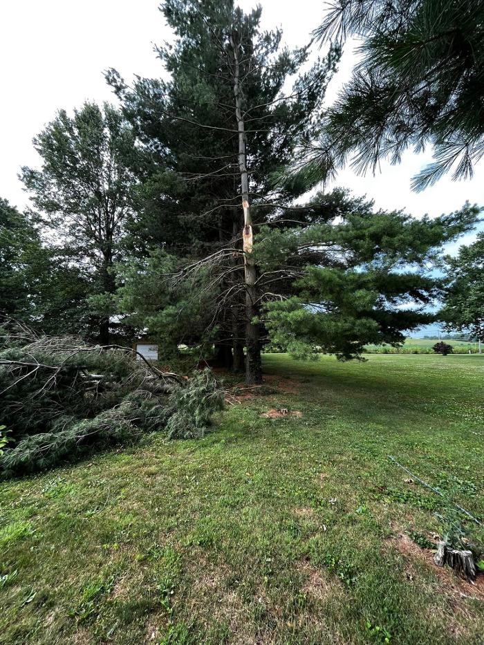 Big Foot Tree Service - Ladoga, IN