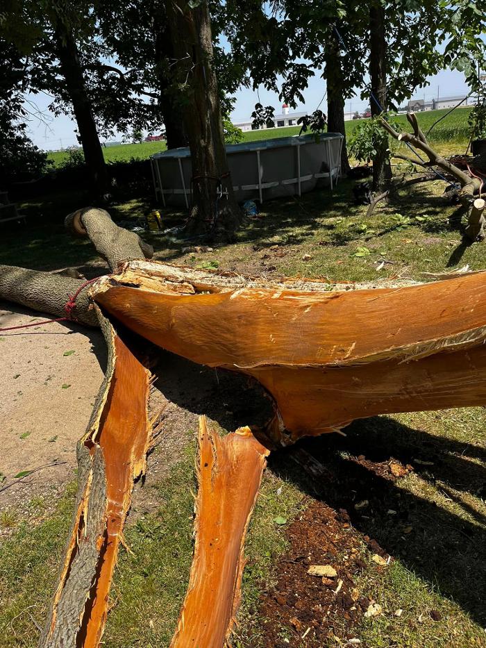 Big Foot Tree Service - Ladoga, IN