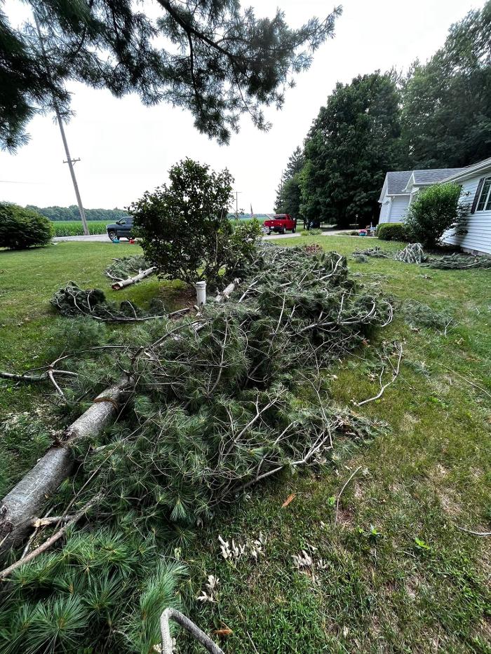 Big Foot Tree Service - Ladoga, IN