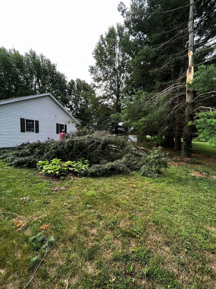 Big Foot Tree Service - Ladoga, IN