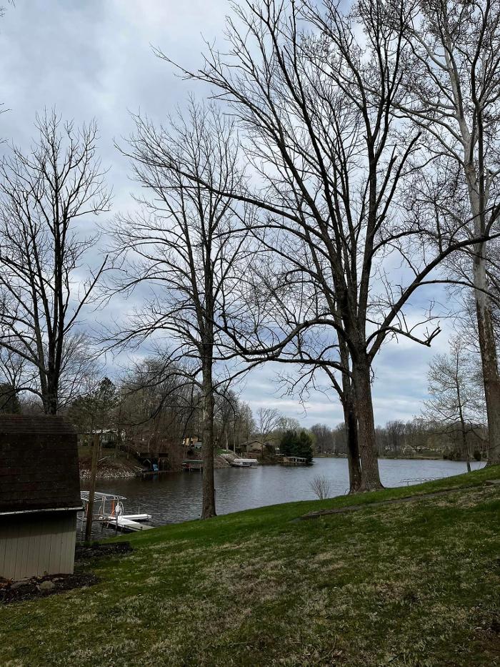 Big Foot Tree Service - Ladoga, IN