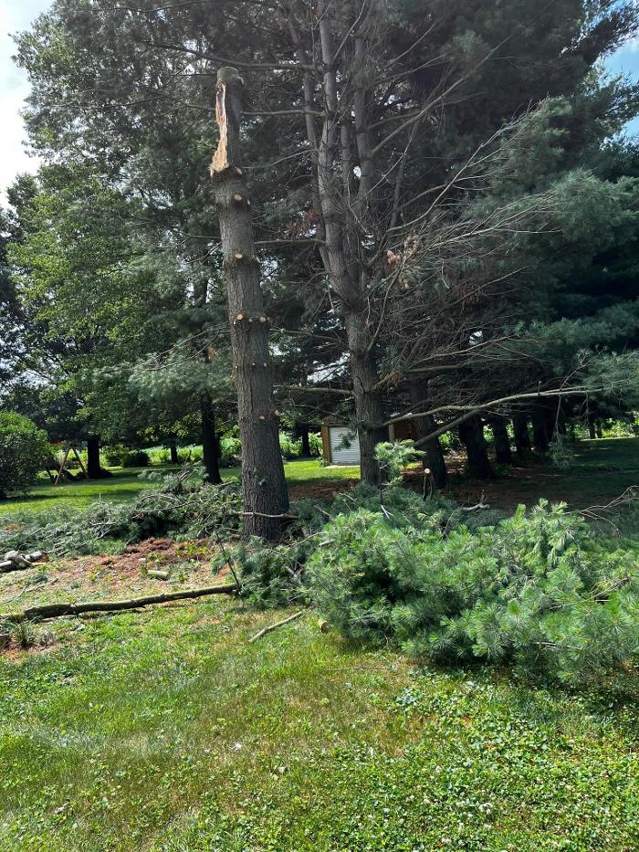 Big Foot Tree Service - Ladoga, IN