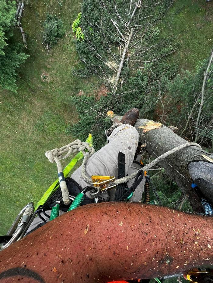 Big Foot Tree Service - Ladoga, IN