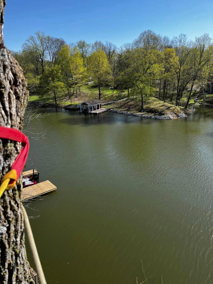 Big Foot Tree Service - Ladoga, IN