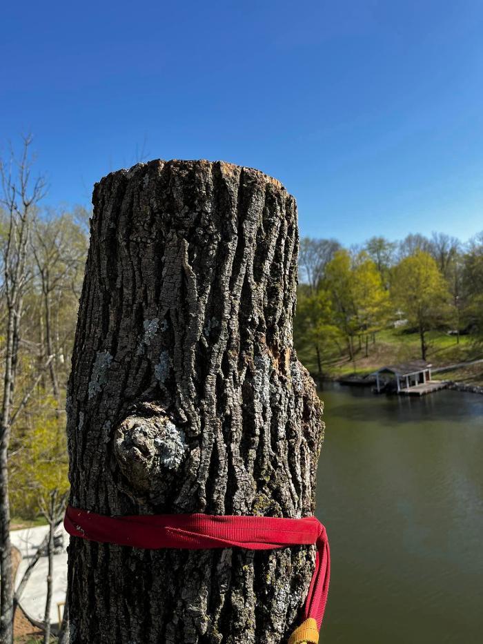 Big Foot Tree Service - Ladoga, IN