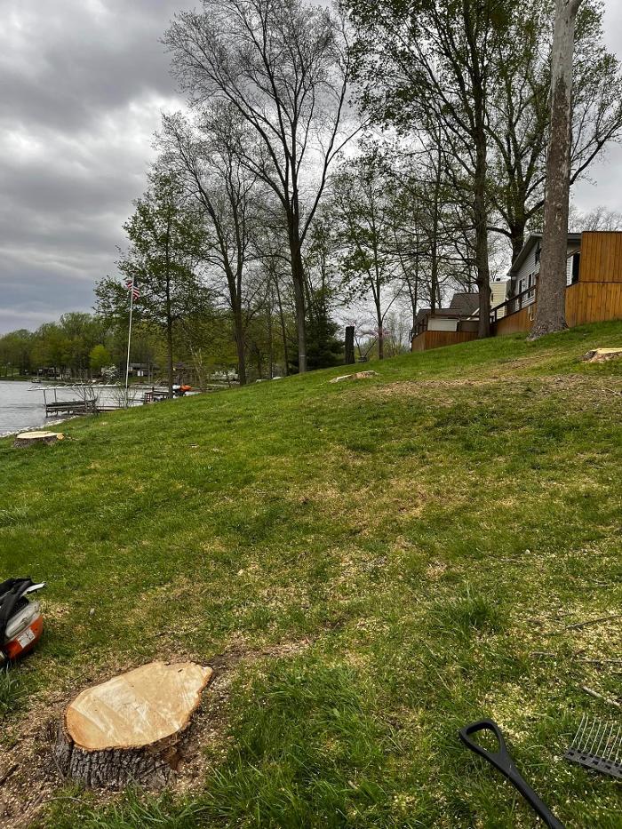 Big Foot Tree Service - Ladoga, IN