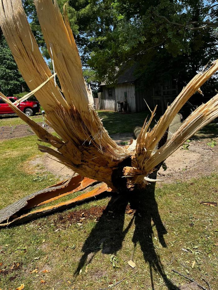 Big Foot Tree Service - Ladoga, IN