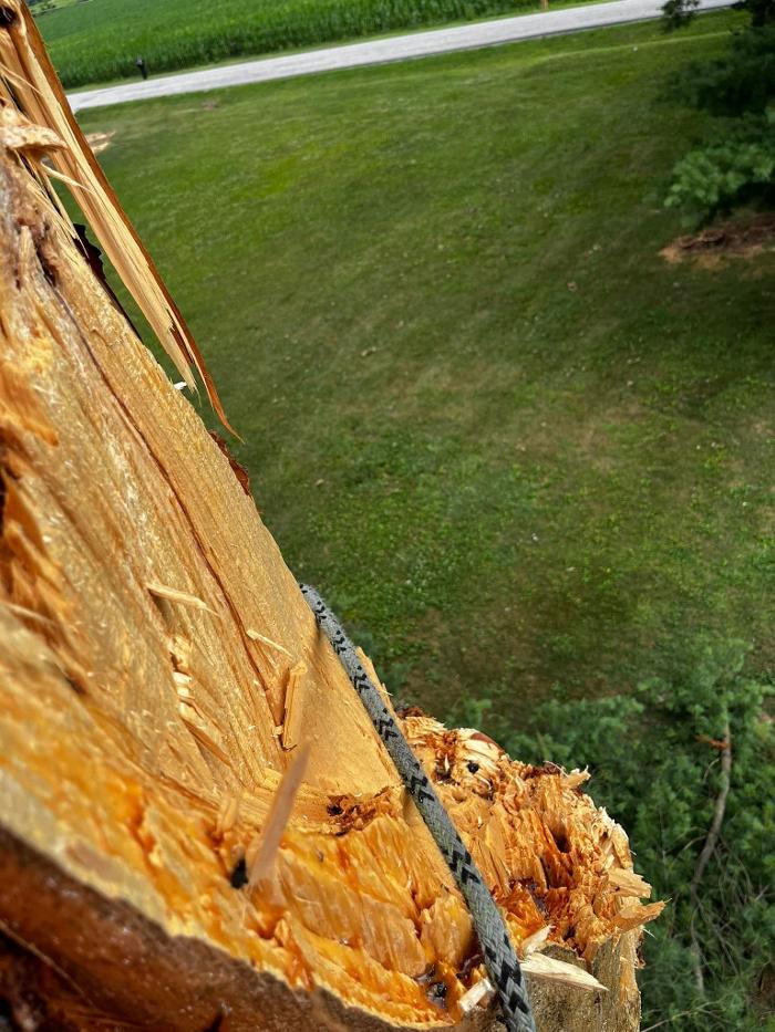 Big Foot Tree Service - Ladoga, IN