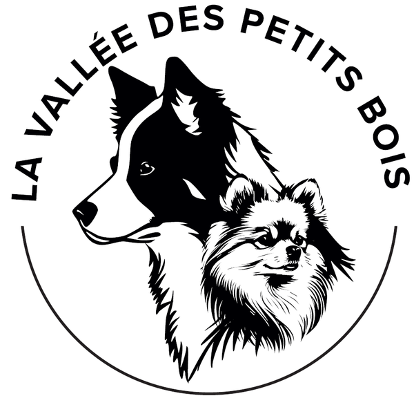 Elevage la Vallée des Petits Bois hôtel