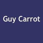 Carrot Guy psychiatre