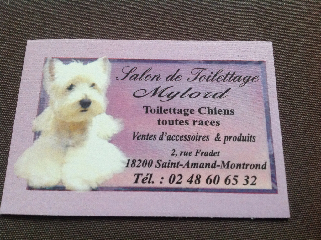 galerie image