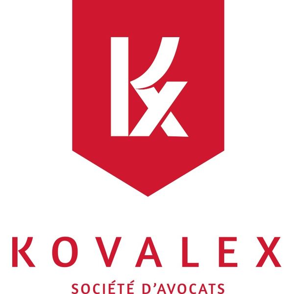 Kovalex II avocat spécialiste en droit de la famille, des personnes et de leur patrimoine