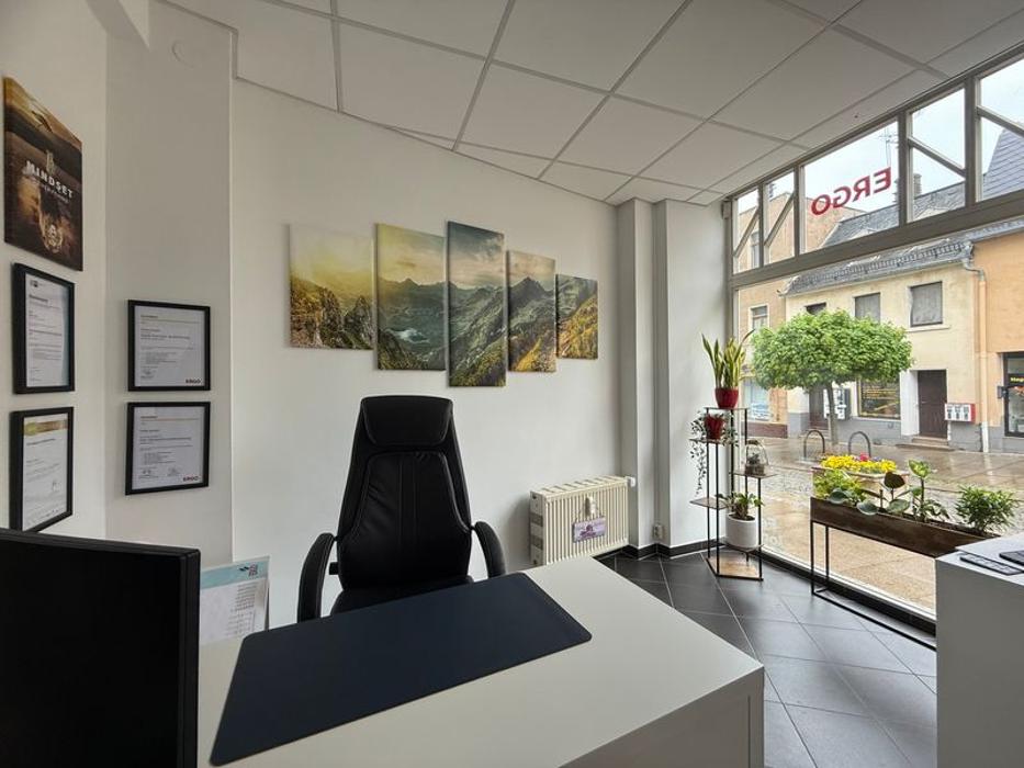 ERGO Versicherung Felix Joram, Zwickauer Straße in Reichenbach im Vogtland