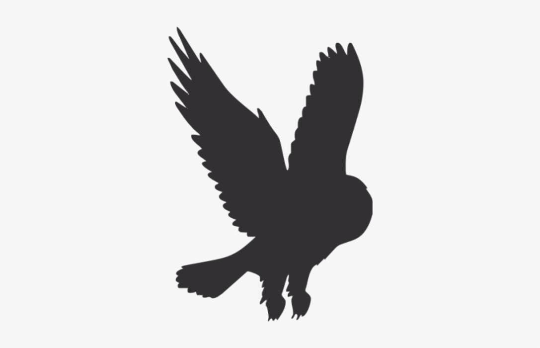 B and K Wildlife Services LLC - Salem, AL