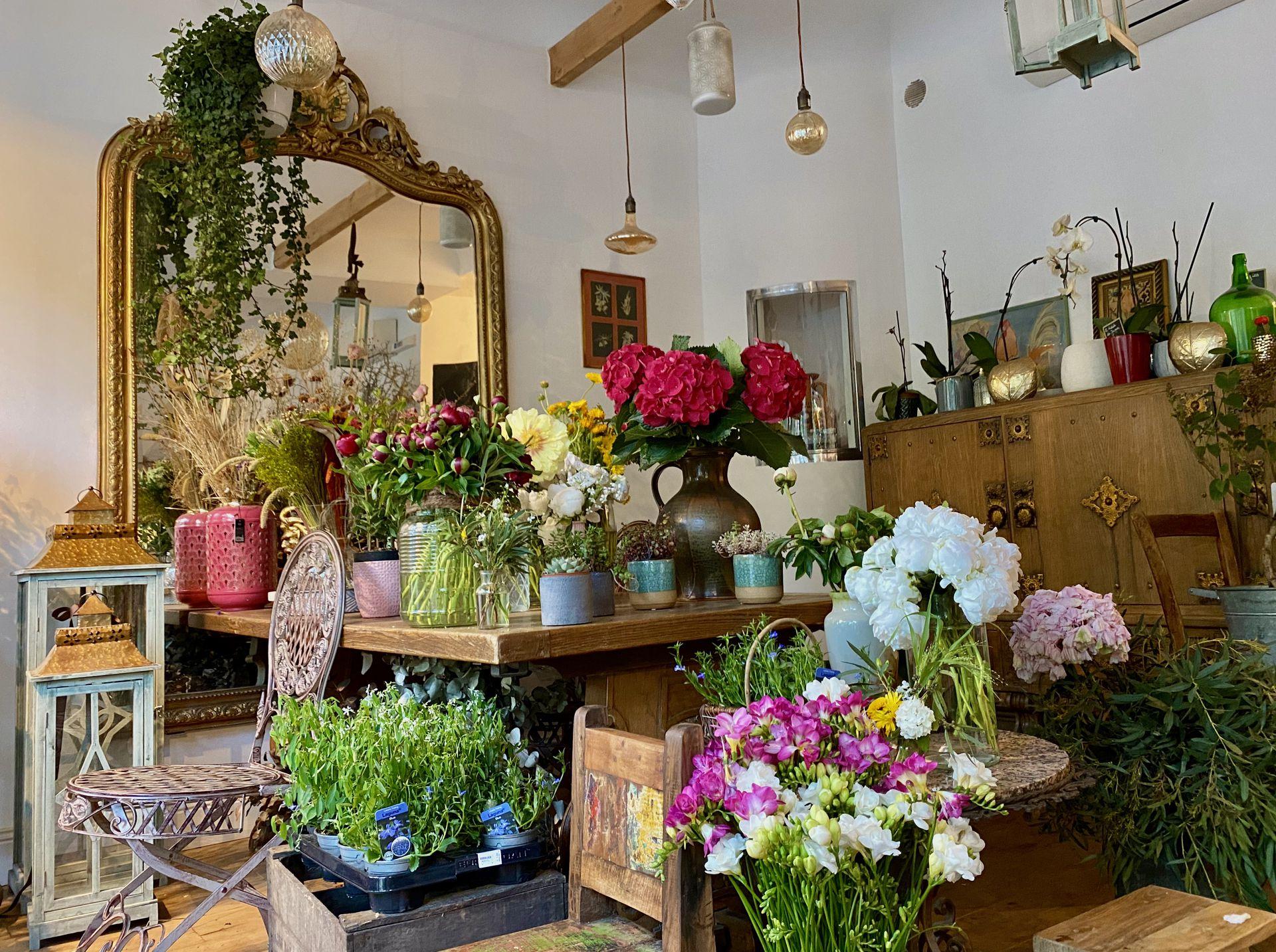 galerie image galerie image