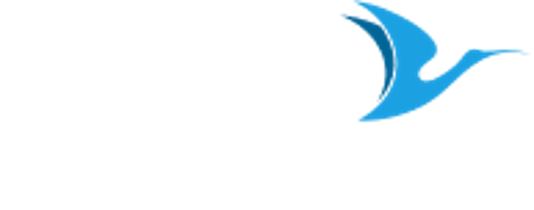 IBIS Studio // Digital Marketing Agency