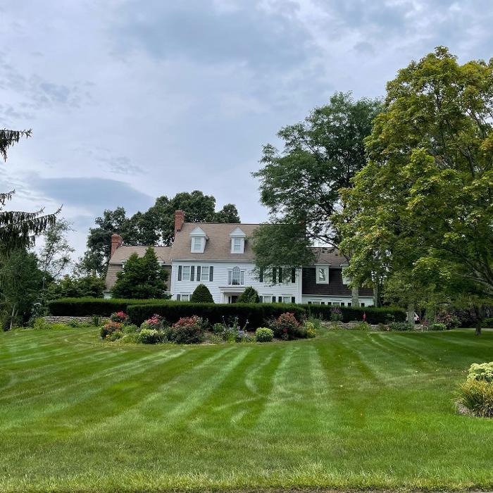 Grimci Team - Farmington, CT