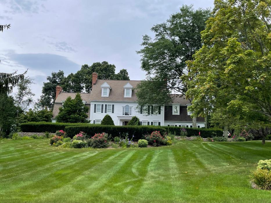 Grimci Team - Farmington, CT
