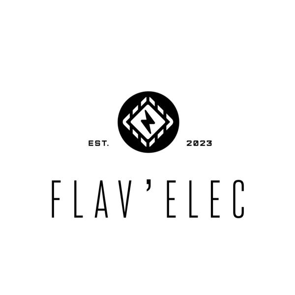 Flav'Elec Expert