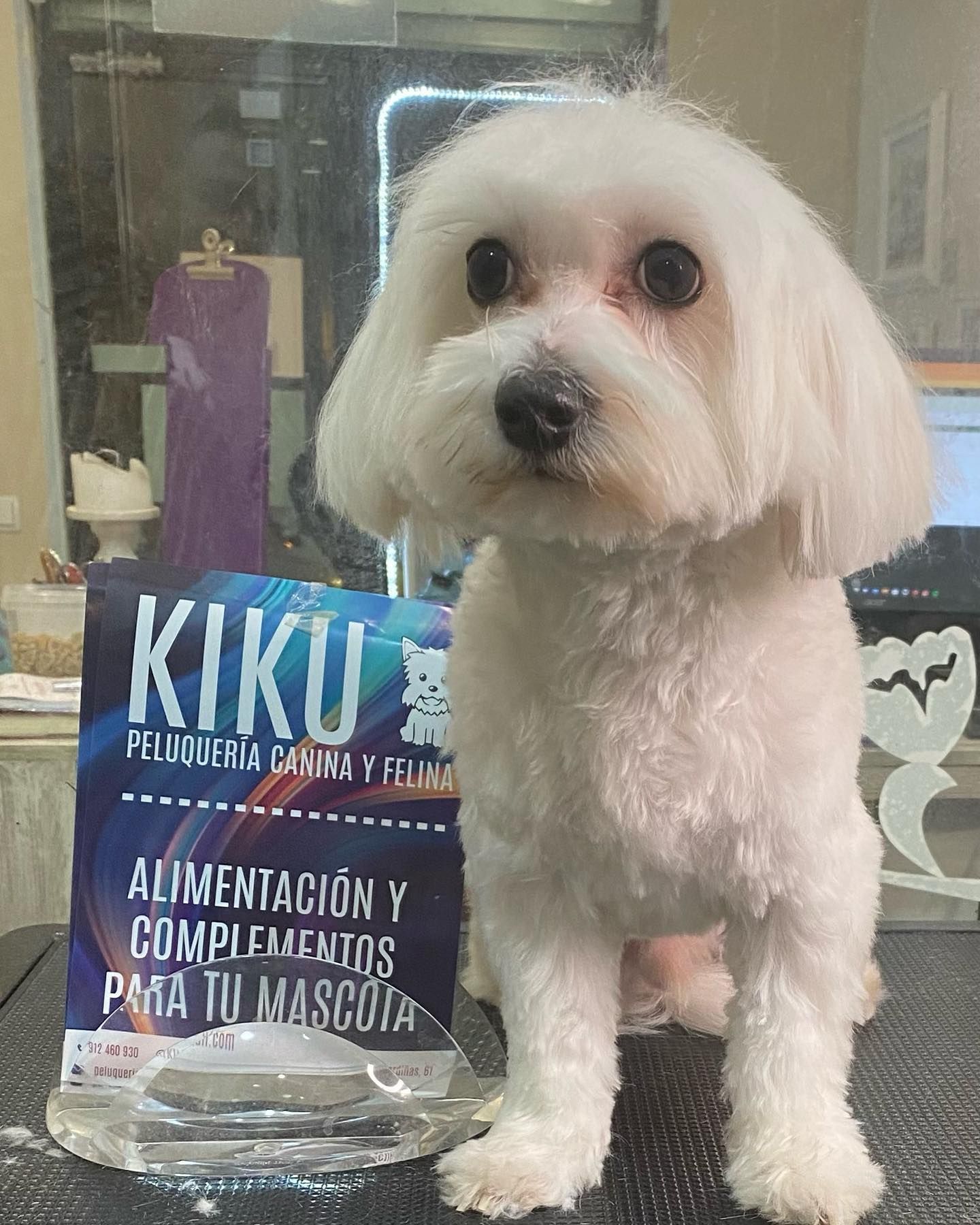 Galería en miniatura