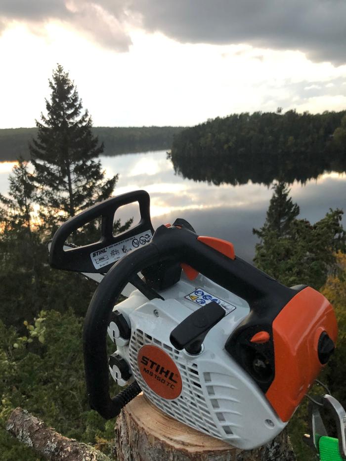 Levesque Tree Services