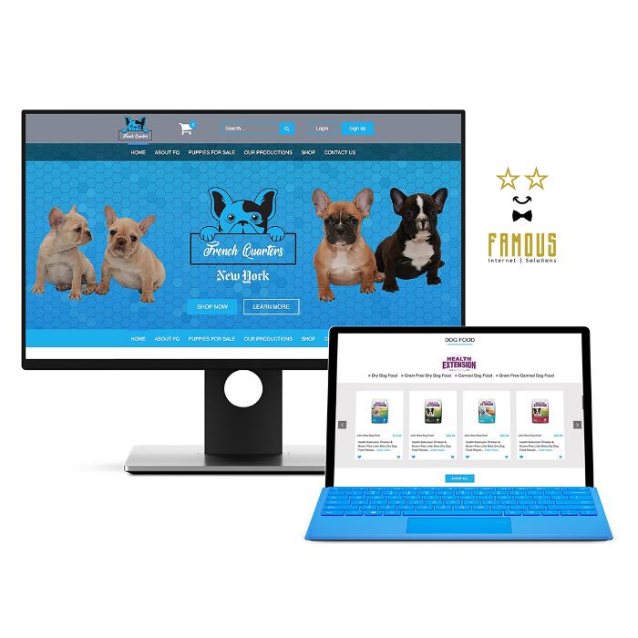 Lead Marketing Strategies - Digital Marketing Agency - Commack, NY