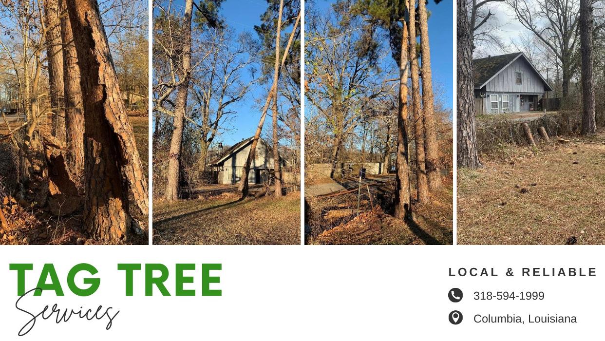TAG Tree Service - Columbia, LA