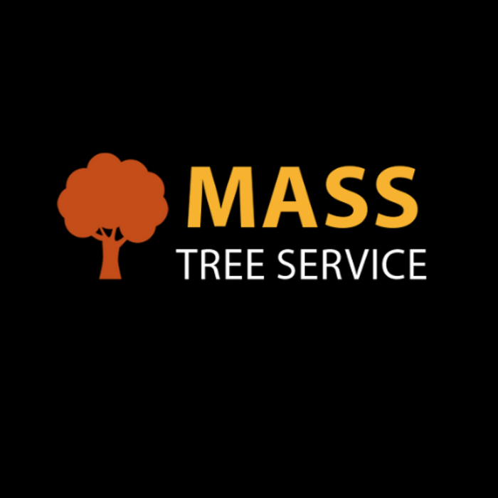 Mass Tree Service - Sagamore Beach, MA
