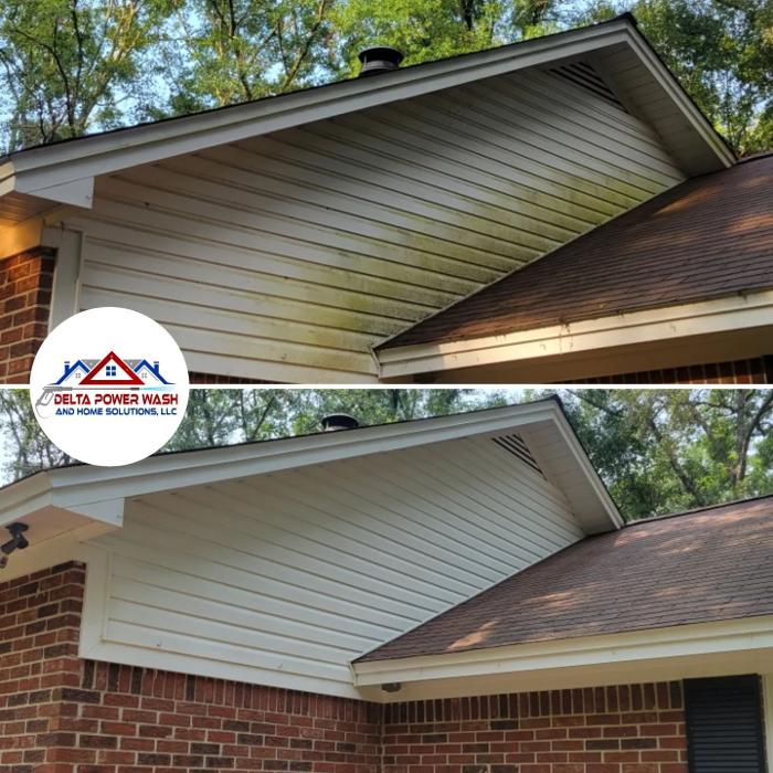 Delta Power Wash and Home Solutions - Tallahassee, FL