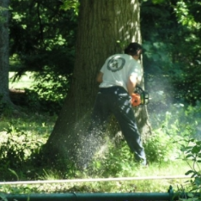 Jim's All Seasons, LLC Image