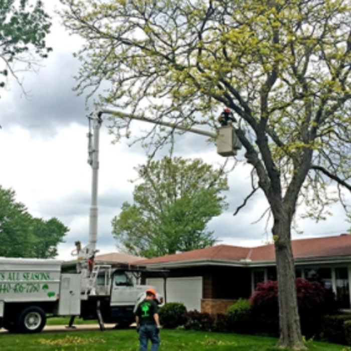 Jim's All Seasons, LLC Image