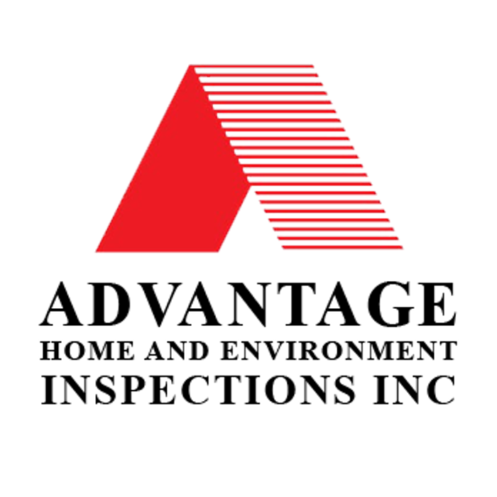 Advantage Home Inspections - Proctorville, OH