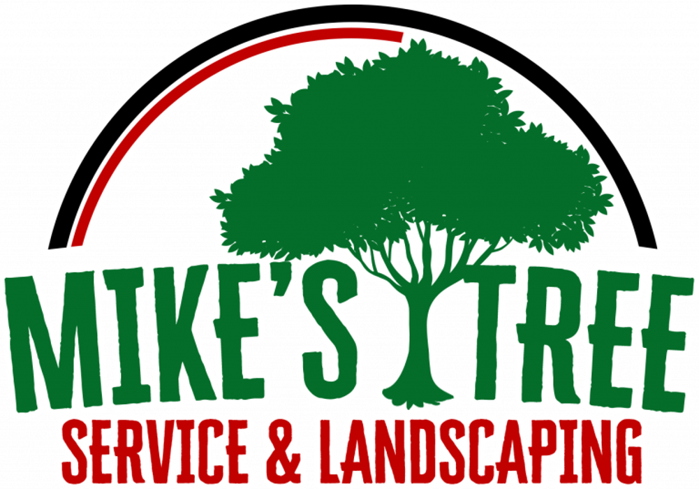 Mike's Tree Service & Landscaping - Torrington, CT