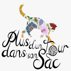 Plus d'un tour dans son sac réparation et restauration (objets divers)
