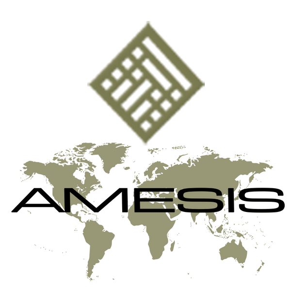 Amesis Building peintre (artiste)