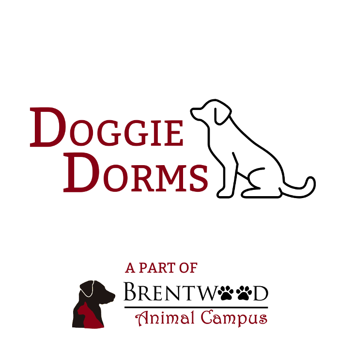 Brentwood Animal Campus Doggie Dorms