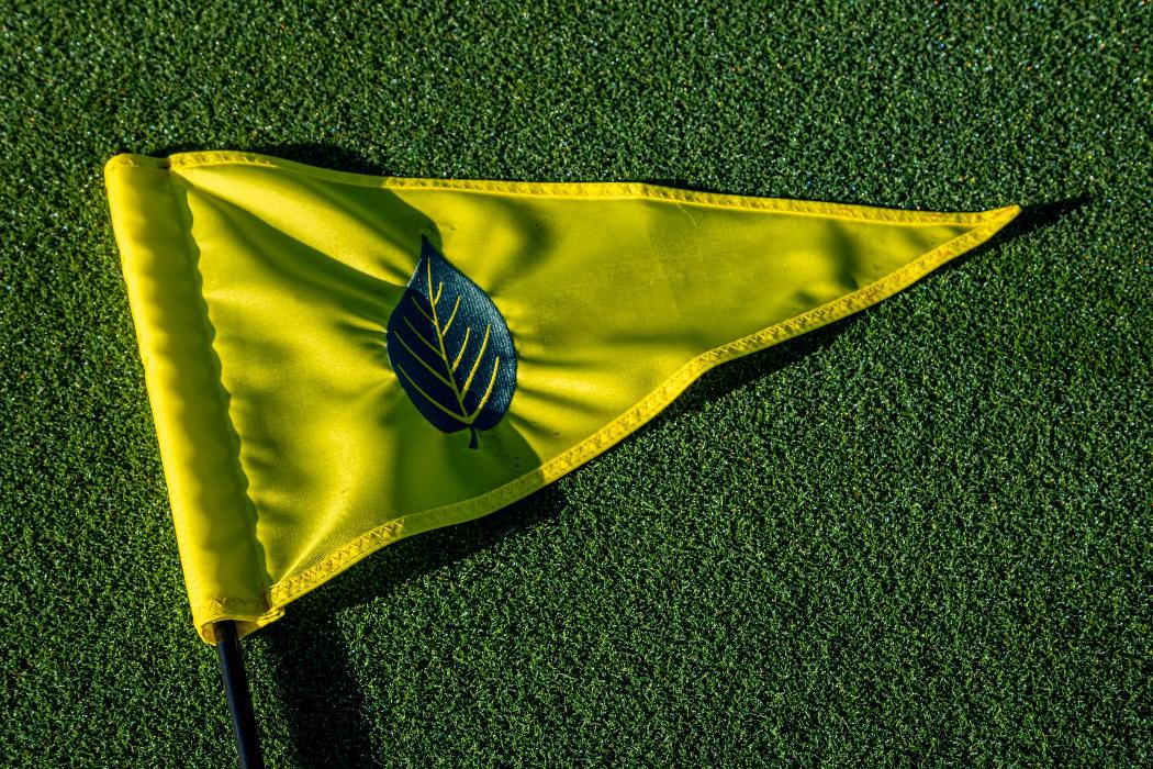 Cutalong Master Planned Golf Community - Mineral, VA