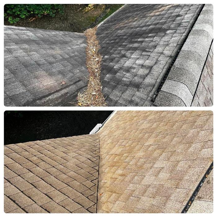 The Cannon Pressure Washing LLC - Jefferson, GA