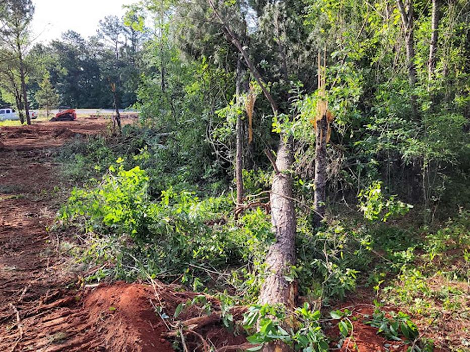 Ingram Clearing and Landscape - Sparta, GA