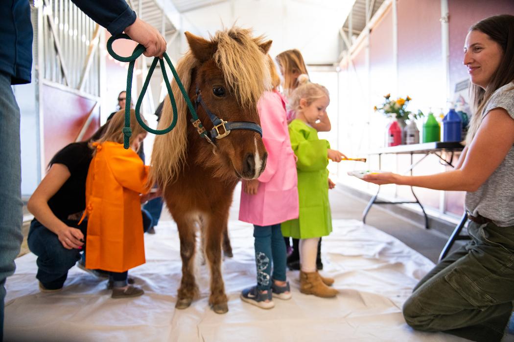The Shady Oaks Farm - Atascadero, CA