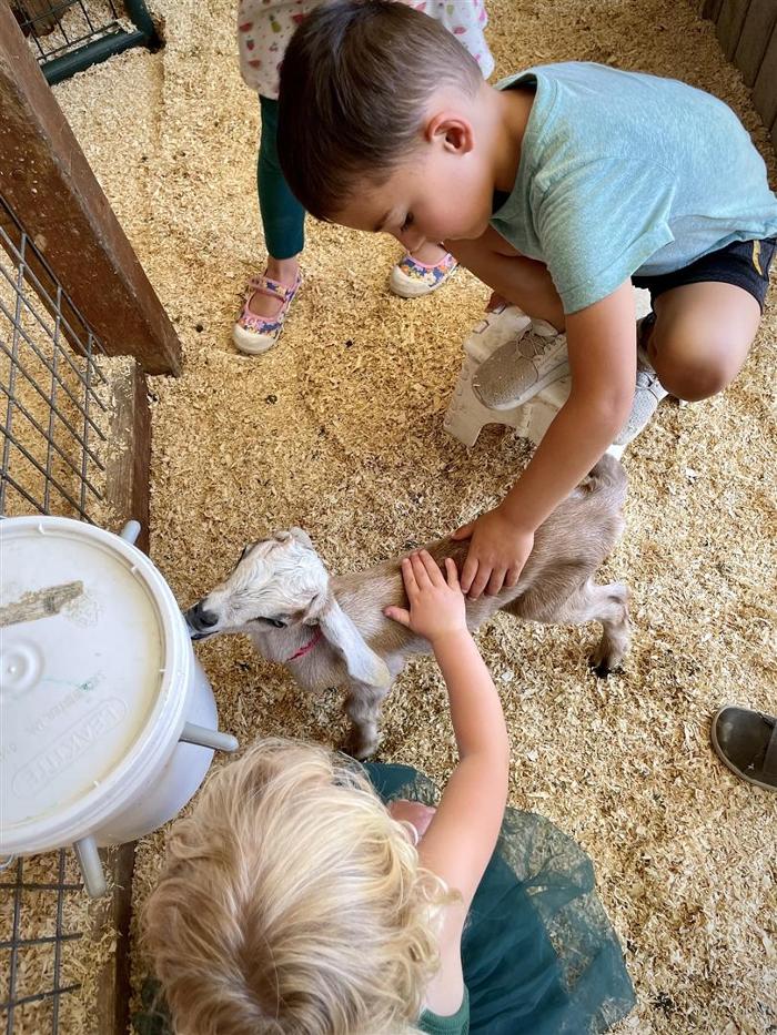 The Shady Oaks Farm - Atascadero, CA
