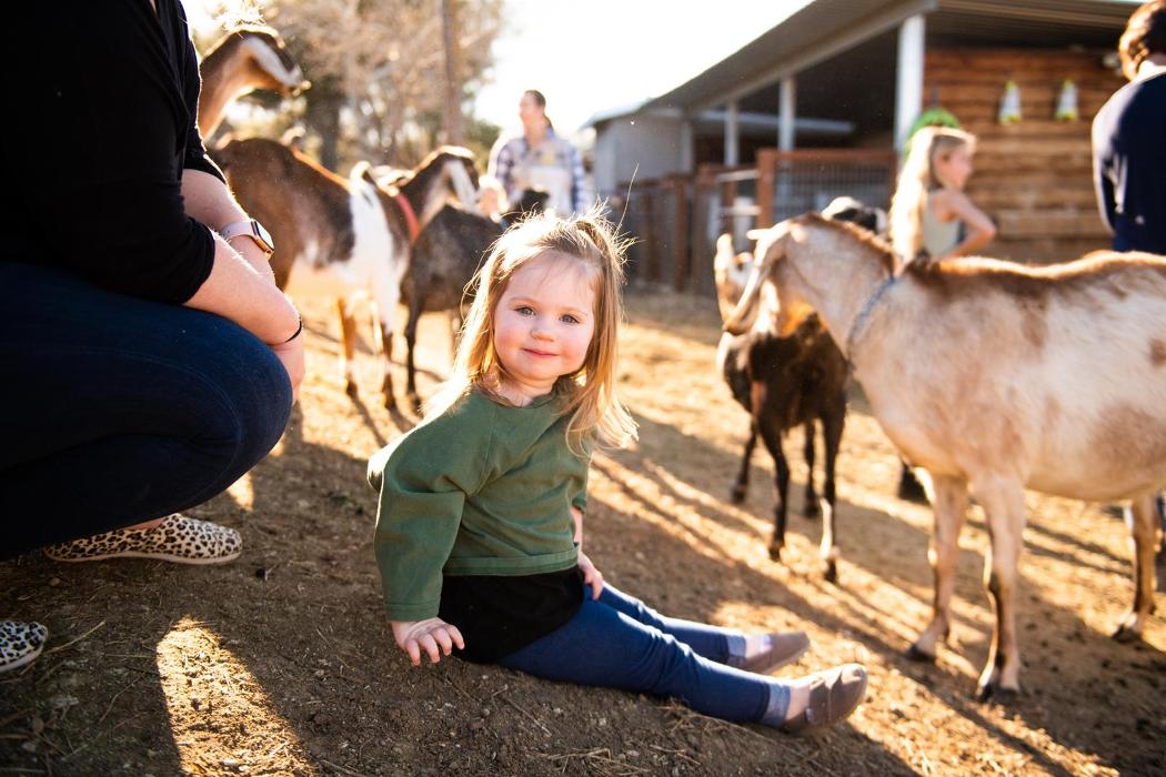 The Shady Oaks Farm - Atascadero, CA