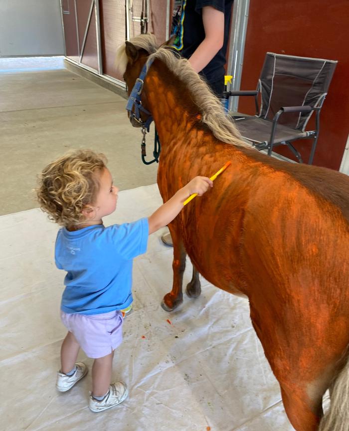 The Shady Oaks Farm - Atascadero, CA