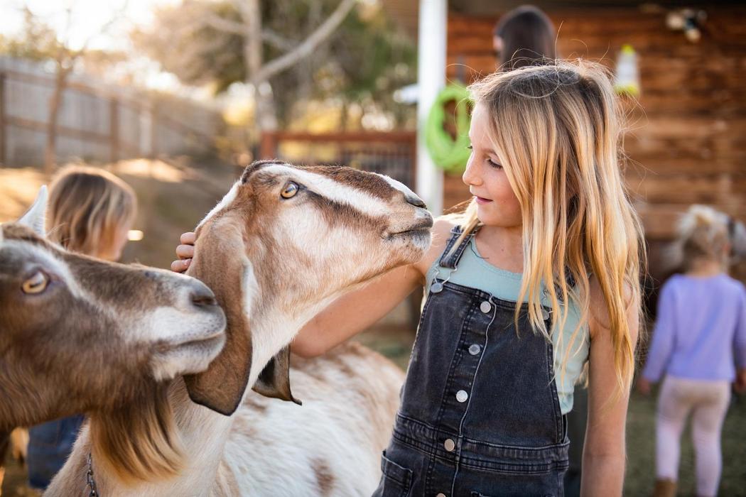 The Shady Oaks Farm - Atascadero, CA