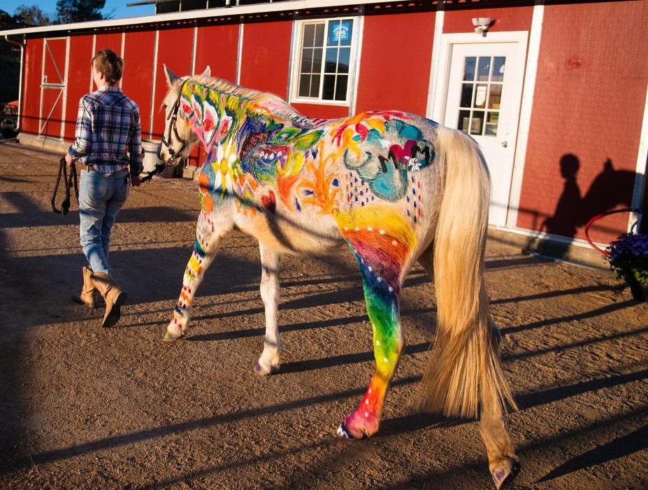 The Shady Oaks Farm - Atascadero, CA
