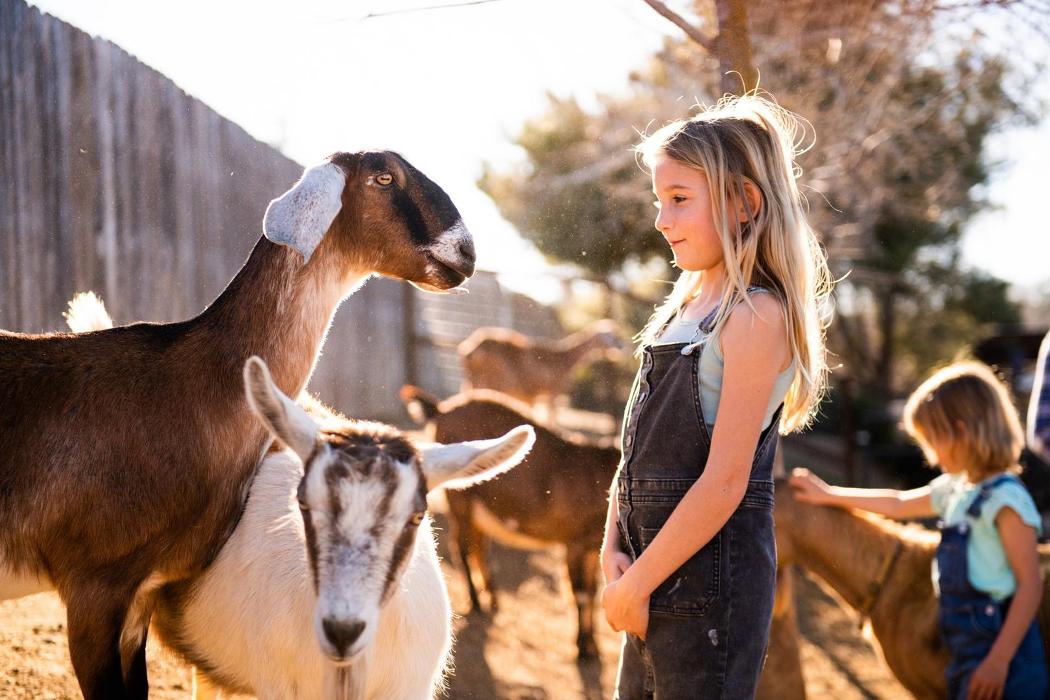The Shady Oaks Farm - Atascadero, CA